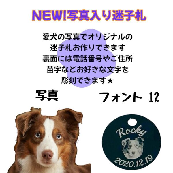 愛犬の写真入り迷子札★レーザー彫刻名入れ 軽量アルミタグ 両面彫刻 ギフトにもおすすめ