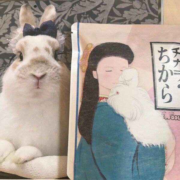 ウーリー チカラのちから 80錠