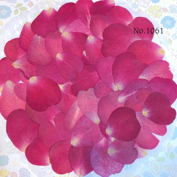 ☆人気商品☆送料無料☆訳あり☆バラの花びらの押し花セット☆