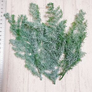 ヒムロスギフォレストグリーン雪風味加工☆