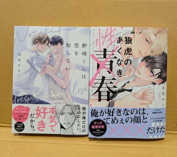 BLコミック 2冊セット 狼虎のあくなき青春 天月テノ&野崎くんは恋を知らない 加森キキ
