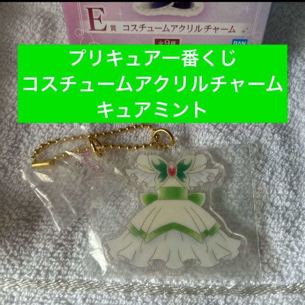 一番くじ プリキュア E賞 コスチュームアクリルチャーム キュアミント キーホルダー アクリル