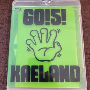Blu-ray 木村カエラ GO!5! KAELAND ライブ LIVE 中古 USED