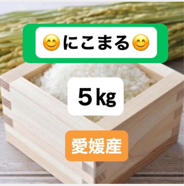 【数量限定】増量中◆減農薬 自家栽培 おいしいお米を愛媛から R6年産 農家直送 にこまる 玄米 5kg+α精米サービス 健康志向