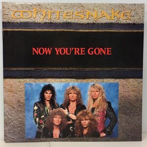 HR/WHITESNAKE/ NOW YOU'RE GONE (12") UK盤 STEVE VAI (n489)