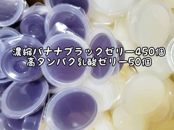 濃縮バナナブラックゼリー450個16g 高タンパク乳酸ゼリー50個 フジコン 昆虫ゼリー オオクワ カブトムシ ハリネズミ ハムスター 小動物