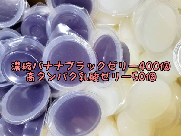 濃縮バナナブラックゼリー400個16g 高タンパク乳酸ゼリー50個 フジコン 昆虫ゼリー オオクワ カブトムシ ハリネズミ ハムスター 小動物