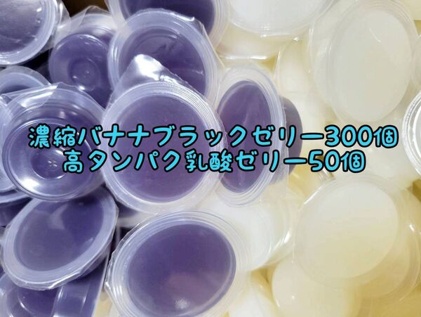 濃縮バナナブラックゼリー300個16g 高タンパク乳酸ゼリー50個 フジコン 昆虫ゼリー オオクワ カブトムシ ハリネズミ ハムスター 小動物