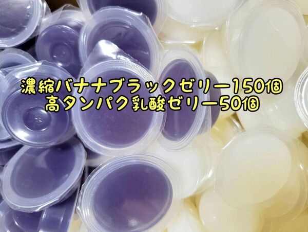 濃縮バナナブラックゼリー150個16g 高タンパク乳酸ゼリー50個 フジコン 昆虫ゼリー オオクワ カブトムシ ハリネズミ ハムスター 小動物