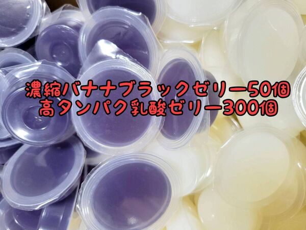 濃縮バナナブラックゼリー50個16g 高タンパク乳酸ゼリー300個 フジコン 昆虫ゼリー オオクワ カブトムシ ハリネズミ ハムスター 小動物