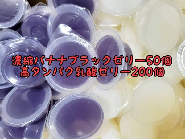 濃縮バナナブラックゼリー50個16g 高タンパク乳酸ゼリー200個 フジコン 昆虫ゼリー オオクワ カブトムシ ハリネズミ ハムスター 小動物