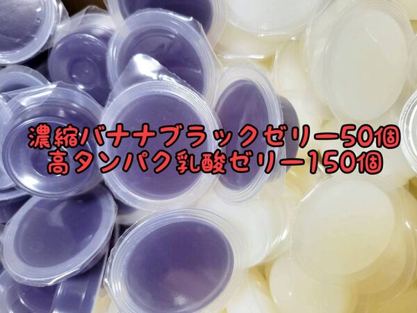 濃縮バナナブラックゼリー50個16g 高タンパク乳酸ゼリー150個 フジコン 昆虫ゼリー オオクワ カブトムシ ハリネズミ ハムスター 小動物