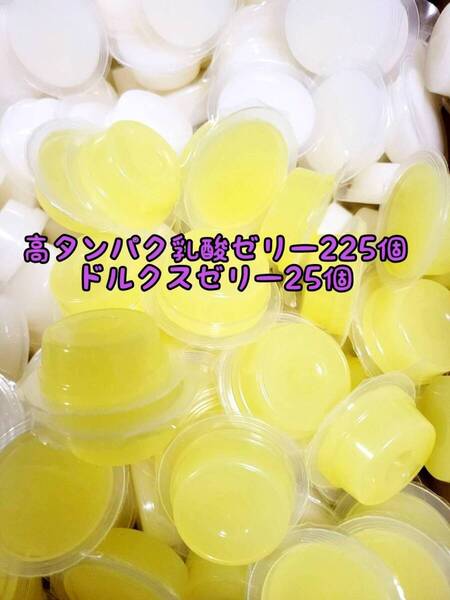 高タンパク乳酸ゼリー225個 ドルクスゼリー25個 ワイドS16g フジコン 昆虫ゼリー オオクワ カブトムシ ハリネズミ ハムスター 小動物