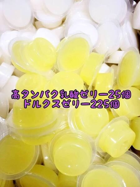 高タンパク乳酸ゼリー25個 ドルクスゼリー225個 ワイドS16g フジコン 昆虫ゼリー オオクワ カブトムシ ハリネズミ ハムスター 小動物