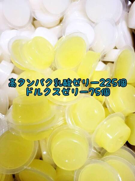 高タンパク乳酸ゼリー225個 ドルクスゼリー75個 ワイドS16g フジコン 昆虫ゼリー オオクワ カブトムシ ハリネズミ ハムスター 小動物