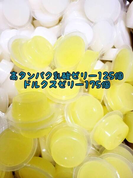 高タンパク乳酸ゼリー125個 ドルクスゼリー175個 ワイドS16g フジコン 昆虫ゼリー オオクワ カブトムシ ハリネズミ ハムスター 小動物