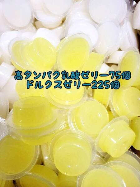 高タンパク乳酸ゼリー75個 ドルクスゼリー225個 ワイドS16g フジコン 昆虫ゼリー オオクワ カブトムシ ハリネズミ ハムスター 小動物
