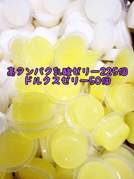 高タンパク乳酸ゼリー225個 ドルクスゼリー50個 ワイドS16g フジコン 昆虫ゼリー オオクワ カブトムシ ハリネズミ ハムスター 小動物