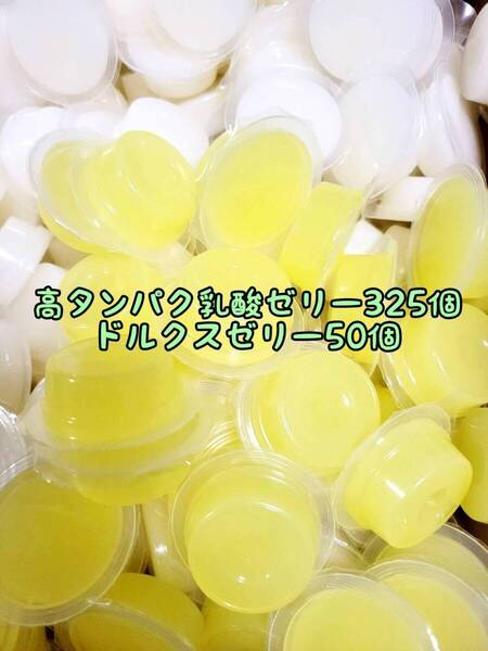 高タンパク乳酸ゼリー325個 ドルクスゼリー50個 ワイドS16g フジコン 昆虫ゼリー オオクワ カブトムシ ハリネズミ ハムスター 小動物
