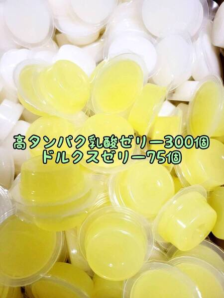 高タンパク乳酸ゼリー300個 ドルクスゼリー75個 ワイドS16g フジコン 昆虫ゼリー オオクワ カブトムシ ハリネズミ ハムスター 小動物