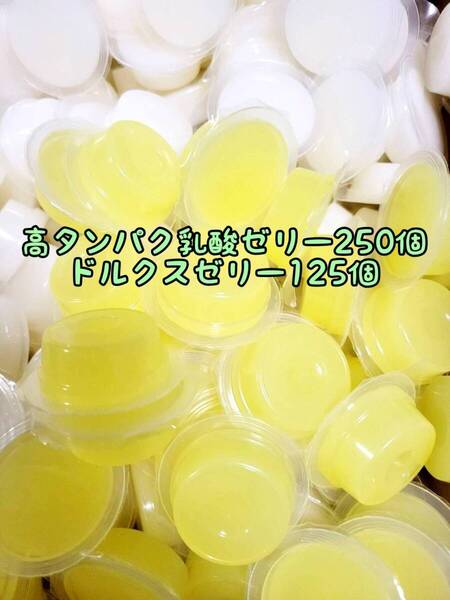 高タンパク乳酸ゼリー250個 ドルクスゼリー125個 ワイドS16g フジコン 昆虫ゼリー オオクワ カブトムシ ハリネズミ ハムスター 小動物