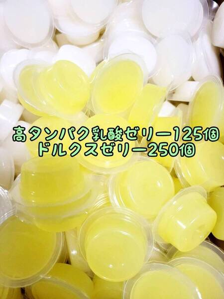 高タンパク乳酸ゼリー125個 ドルクスゼリー250個 ワイドS16g フジコン 昆虫ゼリー オオクワ カブトムシ ハリネズミ ハムスター 小動物