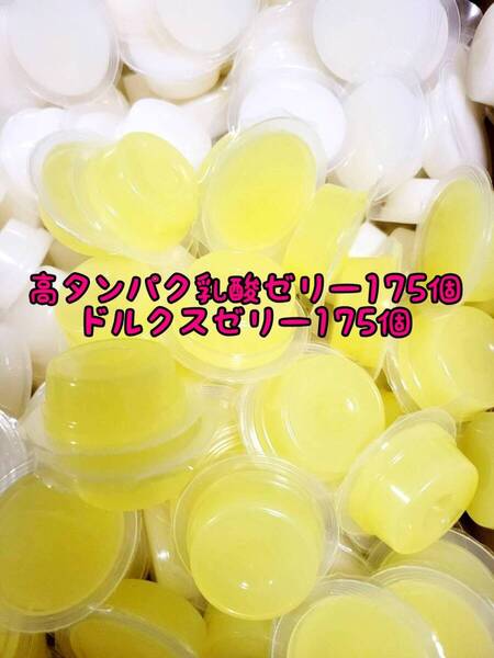 高タンパク乳酸ゼリー175個 ドルクスゼリー175個 ワイドS16g フジコン 昆虫ゼリー オオクワ カブトムシ ハリネズミ ハムスター 小動物