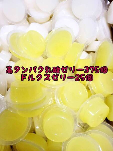 高タンパク乳酸ゼリー375個 ドルクスゼリー25個 ワイドS16g フジコン 昆虫ゼリー オオクワ カブトムシ ハリネズミ ハムスター 小動物