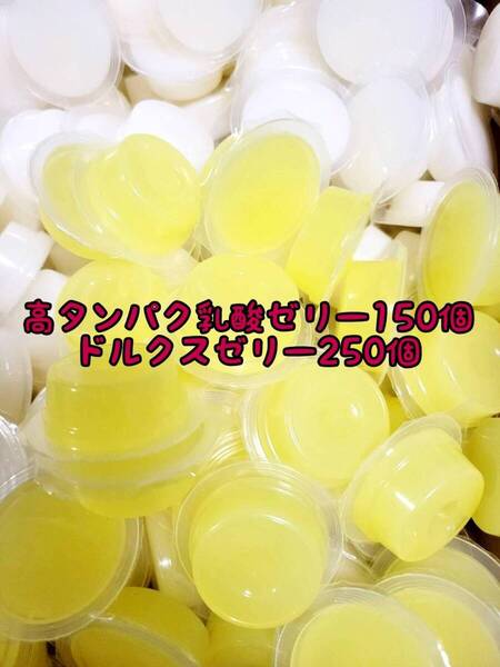 高タンパク乳酸ゼリー150個 ドルクスゼリー250個 ワイドS16g フジコン 昆虫ゼリー オオクワ カブトムシ ハリネズミ ハムスター 小動物
