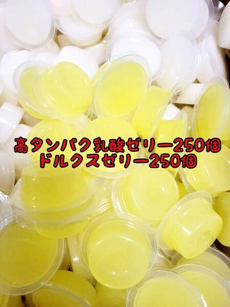 高タンパク乳酸ゼリー250個 ドルクスゼリー250個 ワイドS16g フジコン 昆虫ゼリー オオクワ カブトムシ ハリネズミ ハムスター 小動物