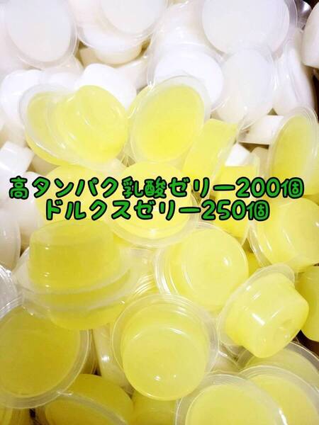 高タンパク乳酸ゼリー200個 ドルクスゼリー250個 ワイドS16g フジコン 昆虫ゼリー オオクワ カブトムシ ハリネズミ ハムスター 小動物