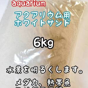 アクアリウム用 ホワイトサンド6kg 高温除菌 底床 コリドラス めだか 熱帯魚 どじょう ベタ グッピー アクアリウム