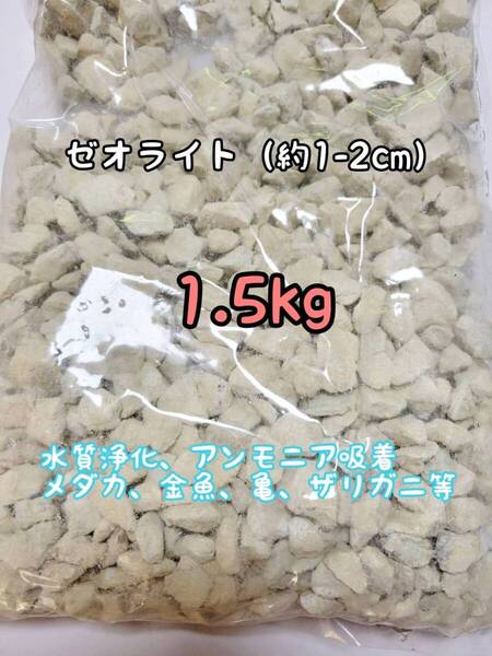 水質浄化 約1-2cm ゼオライト1.5kg アクアリウム メダカ 金魚 亀 ザリガニ アンモニア吸着 錦鯉 ベタ グッピー
