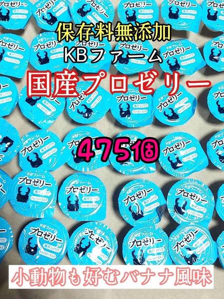 KBファーム 国産プロゼリー16g 475個 カブトムシ クワガタ 昆虫 オオクワガタ