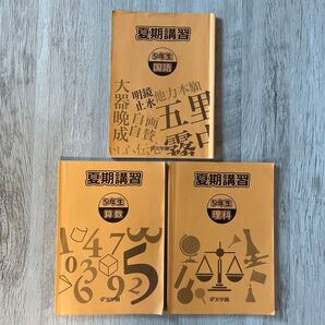 浜学園 夏期講習 テキスト 算数 理科 国語 3教科 問題集 本 中学受験