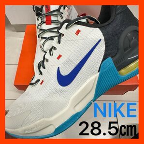 ☆新品☆NIKE AIR MAX ALPHA ナイキ エアマックス トレーナー ホワイト ブルー トレーニング ジム DM0829