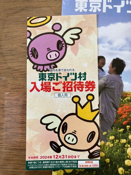 12/31まで★東京ドイツ村 入園ご招待券(車1台分)駐車料金1000円★イルミネーション11月1日開始★即日発送!