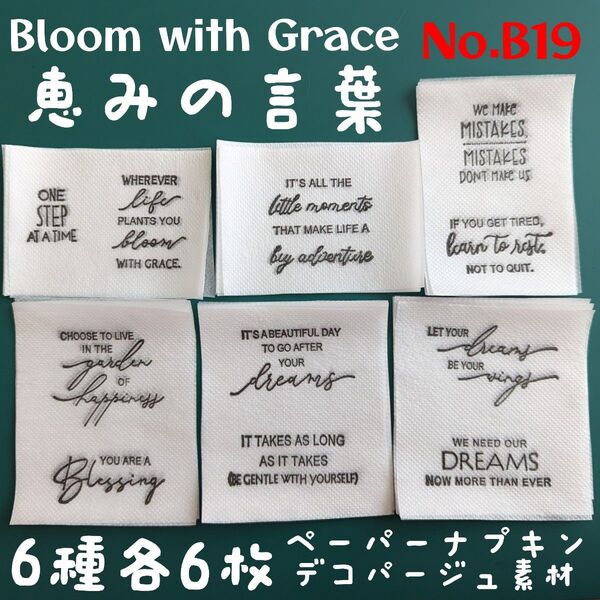 No.B19 恵みの言葉 英文英文 ペーパーナプキン デコパージュ リメイク缶 リメイク鉢 素材