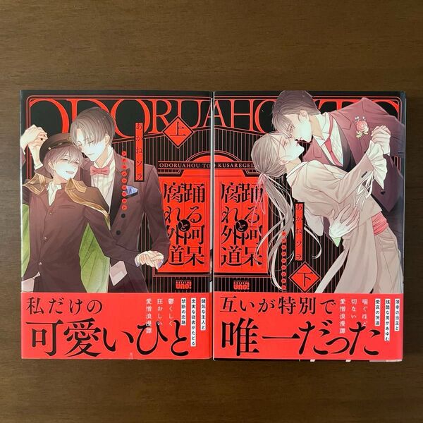 踊る阿呆と腐れ外道 上下巻 あかねソラ