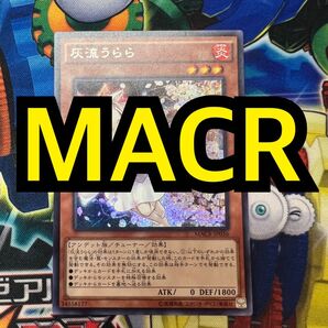 【特価】遊戯王 灰流うらら シークレット シク MACR 初版