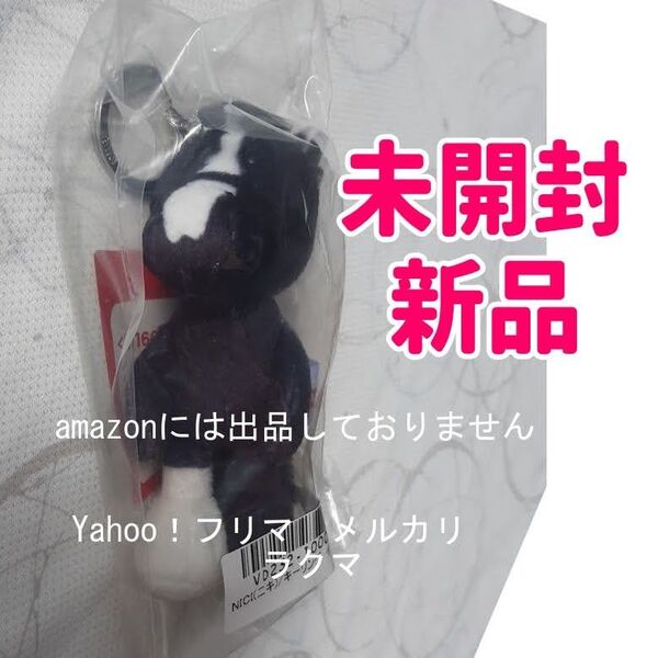 イクイノックス NICI (ニキ) キーリング 未開封新品