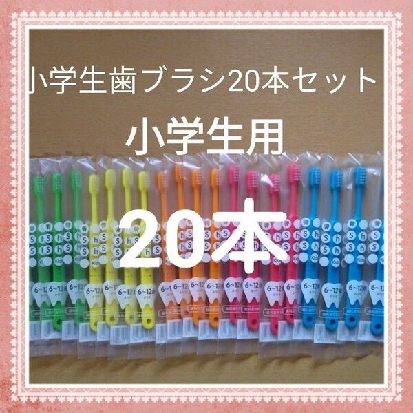 【128】歯科専売 小学生歯ブラシ「ふつう20本」