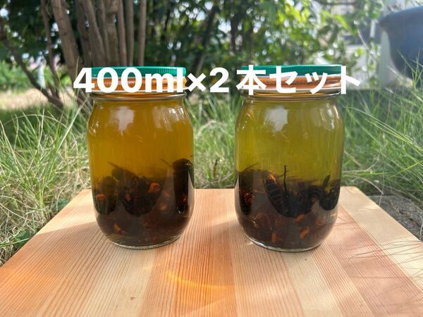 オオスズメバチ40匹 ホワイトリカー漬け 400ml×2本セット