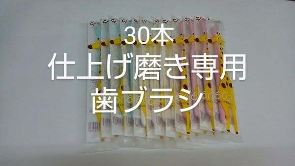 歯科医院専用仕上げ磨き専用の歯ブラシ Ci602 ふつう 30本セット