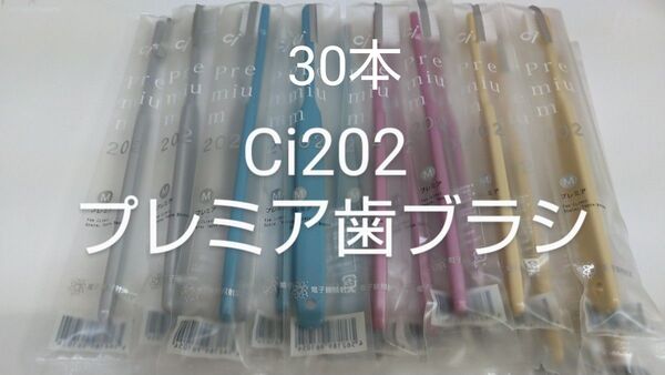 30本セット 歯科医院専用歯ブラシCi202 プレミア 日本製ふつう(やわらかめに変更可能)