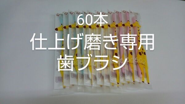 60本セット歯科医院専用仕上げ磨き専用の歯ブラシ Ci602 ふつう