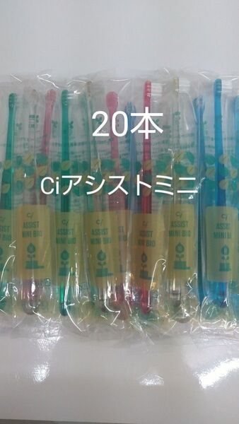 歯科医院専用20本 Ciアシストミニ歯ブラシ