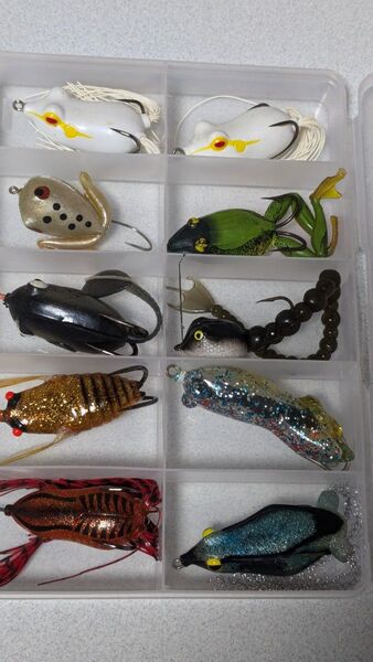 フロッグ セット 雷魚