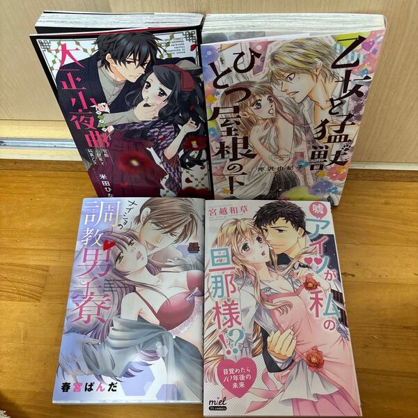 嘘!アイツが私の旦那様!? ~目覚めたら10年後の未来等4冊