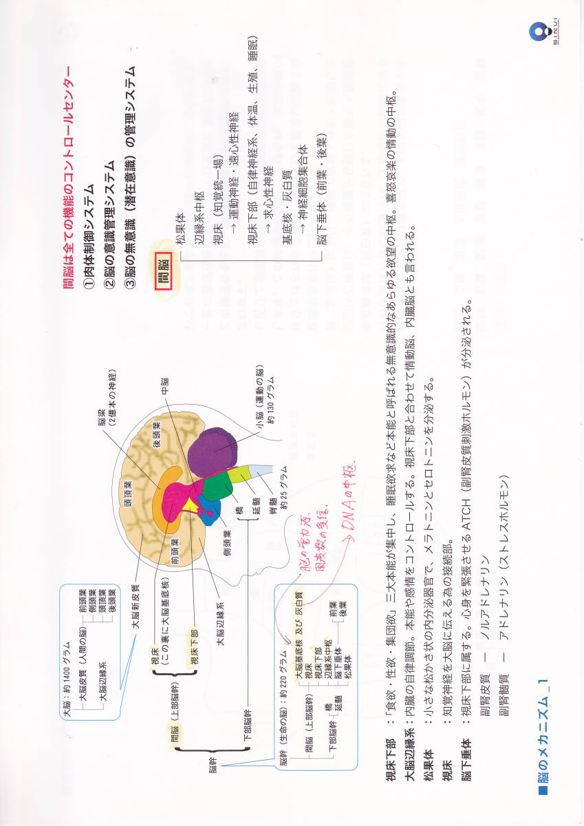 2025年最新】Yahoo!オークション -蔵本天外の中古品・新品・未使用品一覧 2025年最新】Yahoo!オークション -蔵本天外の中古品・新品・未使用品一覧